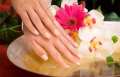 SPA procedures